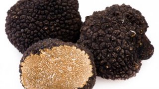 depositphotos_6412840-stock-photo-black-truffles