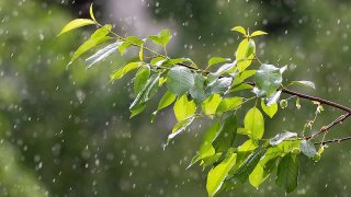 rain-3411970_960_720